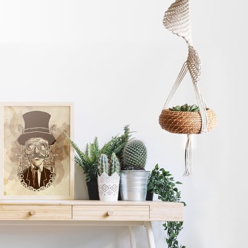 Modern Minimalist Bohemian Style Hanging Planters Plant Net Pocket Hand Woven Hanging Basket Holder Tapestry Flower Basket with Exquisite Tassel Indoor Balcony Decoration (Rotating) - size: Rotating