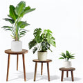 3-Pack Wood Plant Stands Indoor, Mid-Century Modern Plant Stool for 6-12 Inch Pots, Tall Single Corner Wooden Planter Table for Multiple Plants, Living Room, Balcony, and Office