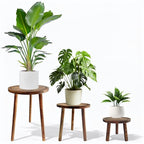 3-Pack Wood Plant Stands Indoor, Mid-Century Modern Plant Stool for 6-12 Inch Pots, Tall Single Corner Wooden Planter Table for Multiple Plants, Living Room, Balcony, and Office