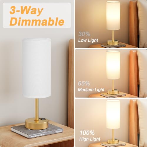 Dicoool Elegant Gold Touch Table Lamp, Modern Wedding Gift for Couples, Bedside Lamps with USB-C USB-A Charging Ports, 3 Way Dimmable Small Lamp for Office, Living Room, Bathroom - color: White-Gold, size: 14in