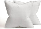 MIULEE Pure White Velvet Throw Pillow Covers 22x22 Soft Decorative Solid Square Cushion Cases Pack of 2 Modern Luxury Home Decor for Couch, Sofa, Bedroom