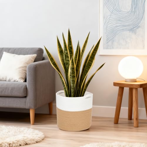 Jute Spliced Cotton Rope Plant Basket - Modern Woven Storage Basket for 10.6" Floor Indoor Planter, White & Beige Decorative Flower Pot Cover with Handle, Rustic Home Decor Laundry Bin