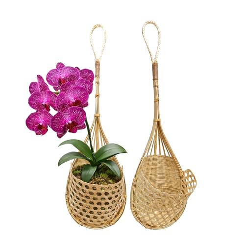 Premium Edition - Thai Natural Light Bamboo Super Sanctuary Orchid Hanging Basket 6 Inch (Set of 2) - color: 6 Inch Light Natural 2-pack