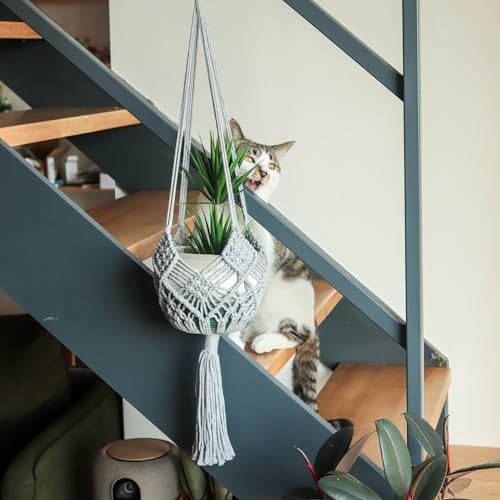 Hanging Planter with Patterns,2Packs Macrame Plant Hangers Indoor Macrame for up to 8 inch Pot Crochet Boho Plant Hanger Holder for Indoor Outdoor with 2S Shaped Stainless Steel Hooks (Gray) - color: Gray