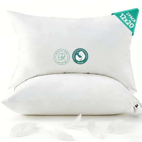 APSMILE Organic Cotton Goose Feather Down Lumbar Throw Pillow Inserts, 12x20 Inch Set of 2, Soft Supportive Rectangular Decorative Pillow Forms for Couch, Sofa, Bed - size: 12X20