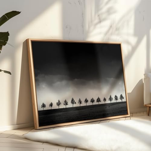 Monem Art Row of Silhouette Trees Print - Brighten Poster - Stormy Sky Art - Black & White Landscape Photography Wall Decor - Office or Bedroom Decor - 8x10 Unframed Wall Art by Adam Dauria - color: Style-11, size: 8"L x 10"W