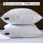 basic home® Hotel-Style Goose Feather Pillow Insert for Sofa & Bed - 100% Odorless & Plump Cushion Filler - 233TC Cotton with Inner Liner to Prevent Poking (22x22 Inch) - size: 22x22