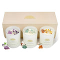 AvaConcept Healing Crystal Candle Gift Set – Set of 3 Amethyst, Amazonite & Sunstone Hand-Poured Soy Wax Lavender Jasmine, Coastal Breeze & Jungle Attachment Aromatherapy 3.5oz Each | Premium Gift Box - size: 3.5oz, style: Lavender Jasmine, Coastal Breeze