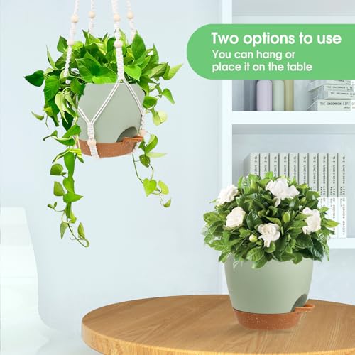 Hanging Planters for Indoor Outdoor Plants, 2 Pack Self Watering Hanging Pot with Drainage Holes, Removable Tray & 2 Kinds of Plant Hangers, 8'' Hanging Flower Pots for Home Garden Decor, Green - color: Ivory+black+green, size: 8''