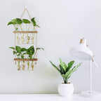 Hyindoor Wall Hanging Planter Terrarium 2 Tired Test Tube Vase Glass Planter Plant Propagation Station Plant Hangers of Rope with Wooden Stand and 8 Tubes for Hydroponic Plant Cutting - size: Small-8 Tubes