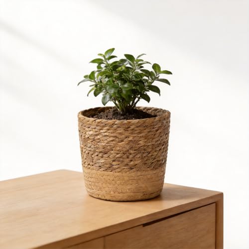 Woven Basket with Plastic Lining 6.1" x 4.3" for Indoor Outdoor Planters Home Decor Flower Pots Cover Storage Organizer Plant Corner Decoration - size: Small
