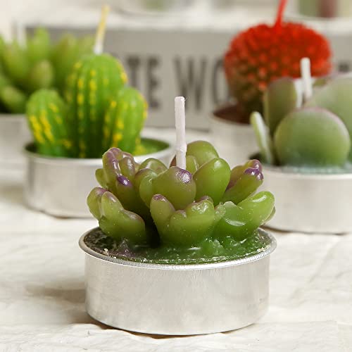 12pcs Cactus Tealight Candles, Handmade Delicate Succulent Cactus Candles Perfect for Birthday Party ,Wedding, Spa, Home Decor - color: 12pcs Cactus Candles