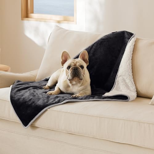 Bedsure Cat Blanket for Indoor Cats - Waterproof Calming Cat Blankets for Couch Protection, Sherpa Fleece Pet Blanket, Soft Plush Reversible Throw Furniture Protector, 40"x30", Black - color: Black, size: M(30x40")