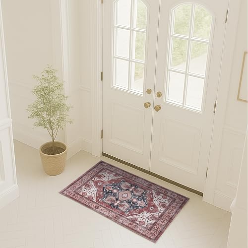 Fame Rugs Turkish Rug. Washable Vintage Oriental Antique Inspired Traditional Doormat Small Modern Area Rugs Luxury Entryway Entry Bedroom Bathroom Kitchen (404RR, 2' x 3') - color: 404rr, size: 2' x 3' (Rectangular)