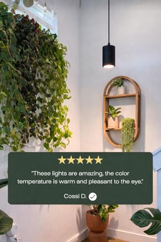 Aspect Soltech Gen 2 – World’s First Decor Grow Light | Black High-Output LED Pendant Grow Light for Indoor Plants | Warm White, Natural Light | Dimmable - color: Black