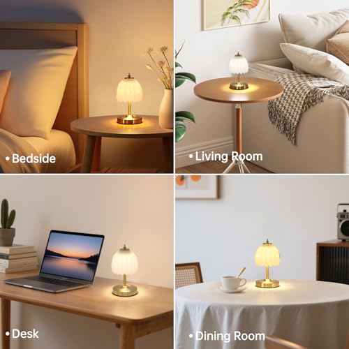 Shenmoyl Tulip Small Table Lamp, 5200mAh Cordless Touch Control Mini Table Lamp with 3 Color Temps & Stepless Dimming, Perfect for Small Spaces Like Dressers, Bedsides, Bookshelves (White Tulip) - color: White Small, size: 1 Pack