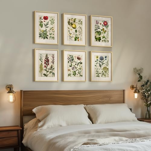 Framed Botanical Floral Wall Art for Kitchen, Set of 6 Green Painting Canvas Prints with Mat for Modern Farmhouse Wall Decor, Rustic Plant Flower Pictures for Living Room Bedroom Dining Room, 11x14 - color: Botany - Neutral Framed, size: 11" W x 14" H x 6