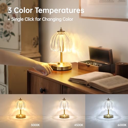 Shenmoyl Tulip Small Table Lamp, 5200mAh Cordless Touch Control Mini Table Lamp with 3 Color Temps & Stepless Dimming, Perfect for Small Spaces like Dressers, Bedsides, Bookshelves (Transparent Tulip) - color: Transparent Smalll, size: 1 Pack