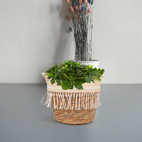 Abaodam Woven Basket Planter for Indoor Plants Small Jute Rope Plant Basket with Tassel Boho Flower Pot Holder Home Decor Storage Container