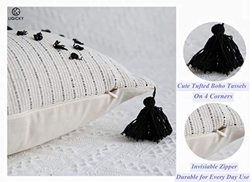 LIGICKY Boho Lumbar Pillow Covers 12x20 Inch Decorative Throw Pillows for Couch Chair Sofa Black and Off White Woven Tufted Pillow Case with Tassels - color: Black and Off White（little Diamond）, size: 20" x 12" (Pack of 1)