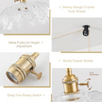 Pendant Light Fixture - color: Hibiscus Transparent