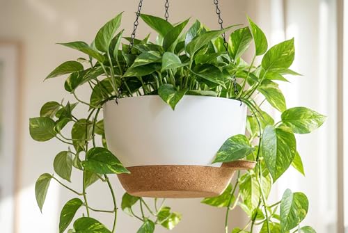 Hanging Planters, 3-Pack 10 Inch Self-Watering Pots with Drainage Holes and Chains, Matte Plastic Planters for Indoor/Outdoor Plant（White Brown） - color: White Brown, size: 10 inches