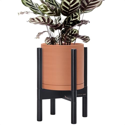 D'vine Dev Terracotta Planter with Ebony Stand - 8 Inch Modern Round Flower Pot with Wood Planter Holder, Terracotta, 55-B-M-5 - color: Terracotta Pot + Ebony Stand, size: 8 Inch