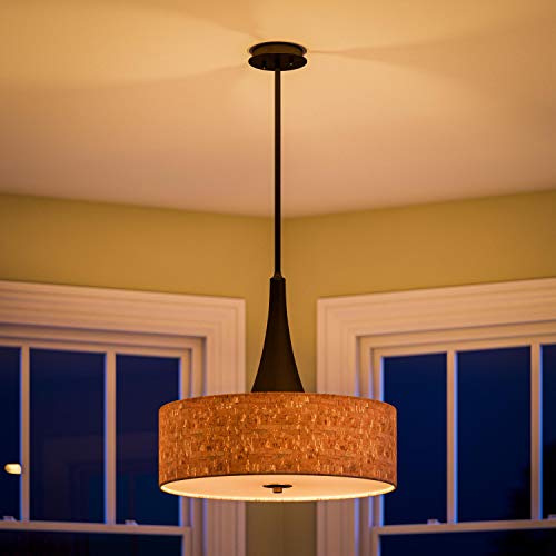 Kenroy Home Bulletin 3 Light Pendant with Tan Finish, Casual Style, 19.5" Height, 22" Width, 22" Depth - color: Oil-Rubbed Bronze