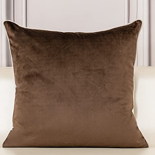 Aeckself European Floral Pillow Cover 20x20 Inch, Luxury Velvet Embroidered Decorative Throw Pillow Cover for Couch Bedroom Living Room, Brown and White - color: Brown, size: 20" x 20" (Pack of 1)