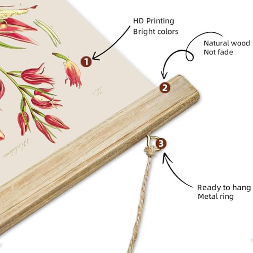 ABoby Vintage Flower Poster, Decorative Botanic Chart Wall Art Prints, Printed on Linen with Wood Frames, Ready to Hang - color: Red Flower