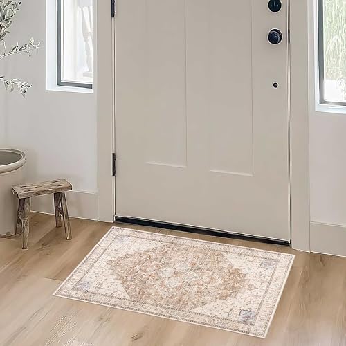 Small Area Rug 2x3, Non Slip Neutral Farmhouse Persian Washable Entryway Rug Indoor, Tan Beige and Light Brown Rust Pattern - color: Coffee/Rust Brown, size: 2' x 3' (Rectangular)