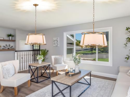 Shrine Lighting Drum Chandeliers, Modern Style, Perfect Pendant Light Fixture for Dining Room, Living Room, D20'' x H9'', Adjustable Chains 59'', E12*4 Sockets, White Lampshade & Brass Finish Frame - color: Brass D19.7''