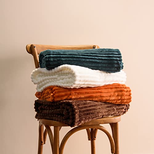Vessia Flannel Fleece Throw Blanket(50X70 Inch, Orange), Lightweight Warm Cozy Soft Couch and Bed Blanket, Plush Microfiber Sofa Throw for All Season - color: Burnt Orange, size: 50x70 inch
