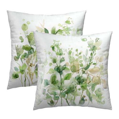 Spring Sage Green Pillow Covers 16x16 Inch Set of 2, Eucalyptus Leaf Watercolor Throw Pillow Covers Square Cotton Cushion Cover for Home Couch Sofa Patio Bedroom Livingroom - color: Eucalyptus Leaf231219, size: 16" x 16" (Pack of 2)