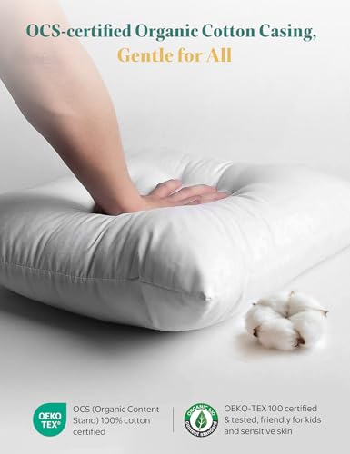 APSMILE Organic Cotton Goose Feather Down Plus Throw Pillow Inserts, 20x20 Inch Set of 2, Soft Supportive Square Decorative Pillow Forms for Couch, Sofa, Bed - size: 20X20