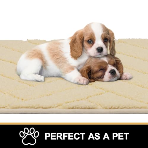 hicorfe Indoor Doormat,Front Back Door Mat Rubber Backing Non Slip Door Mats 20"x48" Absorbent Resist Dirt Entrance Doormat Inside Floor Mats for Entryway Washable Low-Profile(Cream Yellow) - color: Cream Yellow, size: 48" x 20" (Rectangular)