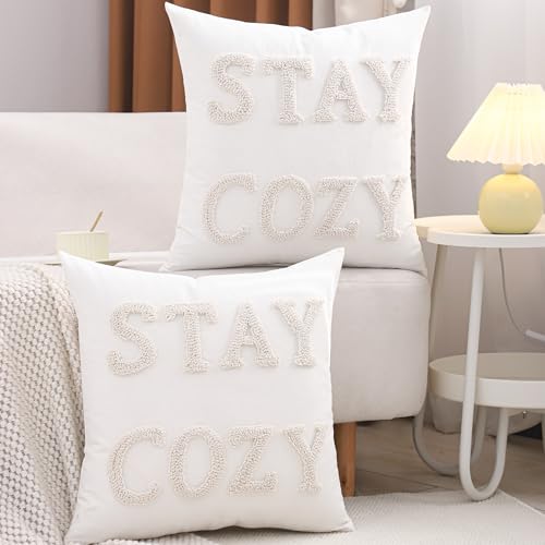 LUOYEHK Embroidered Stay Cozy Pillow Covers 20x20 Inch Decorative Throw Pillow Covers Natural Farmhouse White Square Pillow Cases Cushion Covers for Couch Sofa Bed Living Room Spring Decor (1 Piece) - color: Stay Cozy, size: 20" x 20" (Pack of 1)