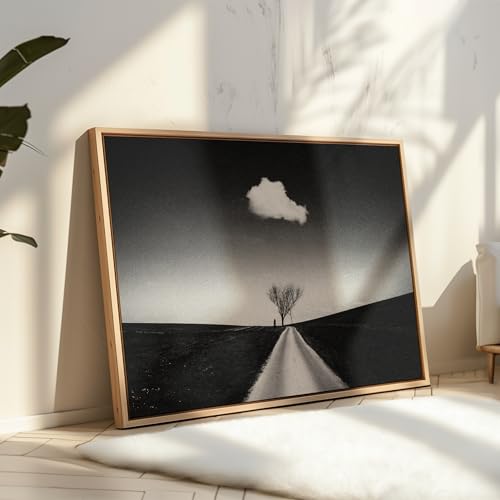 Monem Art Single Cloud in the Sky Print - Stranger Distance Poster - Black & White Art - Monochrome Office or Living Room Decor - 8x10 Unframed Wall Art by Adam Dauria - color: Style-08, size: 8"L x 10"W
