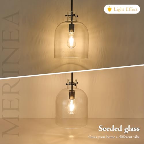 Farmhouse Black Pendant Light – 10" Seeded Glass Dome Hanging Lighting, Hand-Blown Bubble Glass Shade, 1-Light E26 Pendant Lights for Kitchen Island, Dining Room, Hallway - color: Black-Medium Seeded Glass