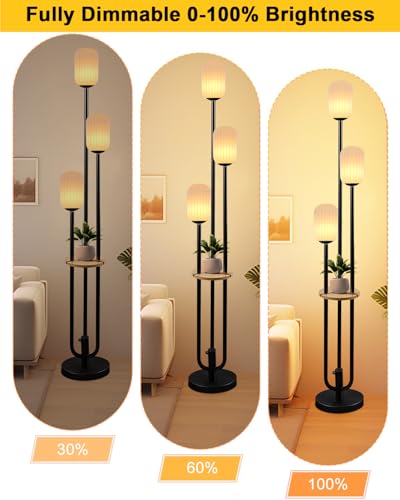Floor Lamp for Living Room, Dimmable Vintage Floor Lamp with Shelf & LED Bulbs, 3 Light 3000K Soft Warmwhite Mid Century Standing Lamp, Tall Lamps with 5Lbs Heavy Base for Bedroom Home Decor - color: Oval-Black