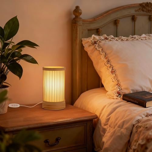LUSHARBOR Bamboo Table Lamp, Small Boho Rattan Lamp Decorative with Dimmable Light, Woven Bedside Lamp for Bedroom, Cozy Nightstand Desk Lamps for Cafe/Entryway/Tabletop/Shelf Decor - style: USB-STRIP