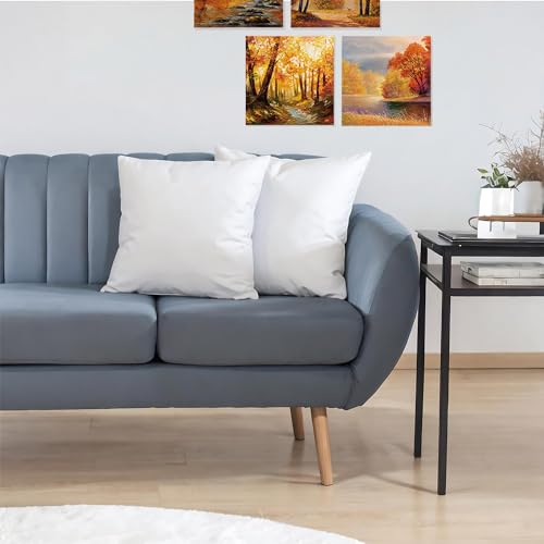 JIEITIVE Throw Pillow Inserts Hypoallergenic Premium Pillow Stuffer Square Form for Decorative Pillow Covers Cushion Set of 1-18 x 18 Inches - size: 18 x 18 Inches
