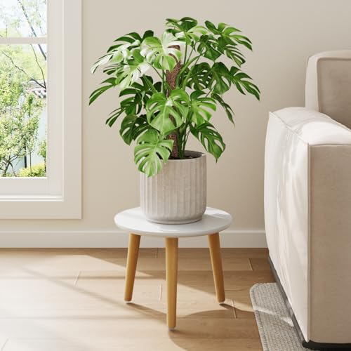 Leaf&lull Plant Stand Indoor Small Plant Table for Large Plants Wood Plant Stool Tall Plant Holder for Living Room Bedroom Balcony White - color: white short