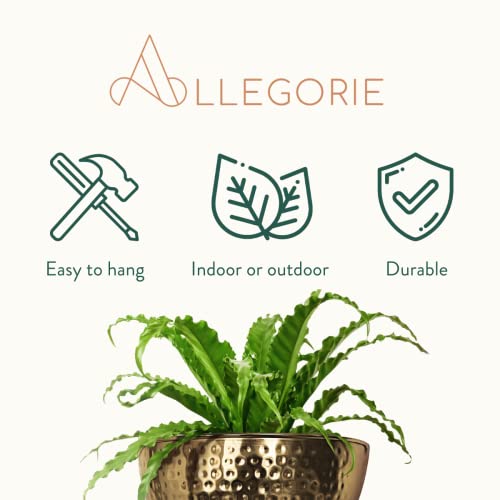 Allegorie Metal Wall Planter | Indoor or Outdoor Hanging Plant Pot | Farmhouse Decor & Boho Kitchen Decoration for Herbs & Succulents and Living wall 12x7 (Gold) - color: Gold