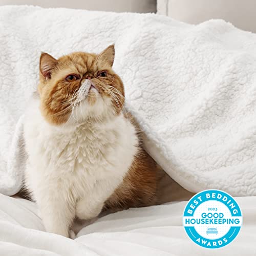 Bedsure GentleSoft Sherpa Fleece Throw Blanket for Couch, Non-Heated, Thick and Warm Throw for Women and Men, Soft Fuzzy Plush Blanket for Winter, White, 50x60 Inches - color: 06 - White, size: Throw (50" X 60")