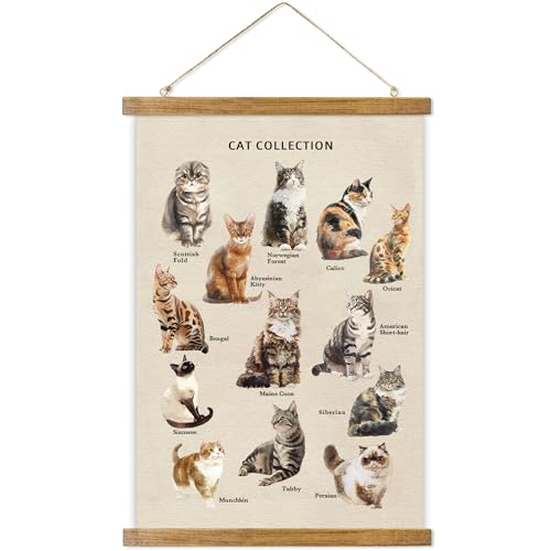 ABoby Vintage Cat Breeds Chart Posters - Pet Wall Art for Homes and Offices - Retro Style Painting with Wood Frames - Ready to Hang - color: Cat