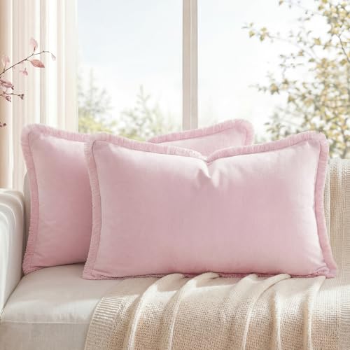 HOMEIDEAS Light Pink Velvet Throw Pillow Covers 20x12 Set of 2, Luxury Decorative Pillow Covers with Short Fringe Tassels, Modern Farmhouse Boho Cushion Covers for Sofa Couch Bed Neutral Home Decor - color: Pink, size: 20" x 12" (Pack of 2)