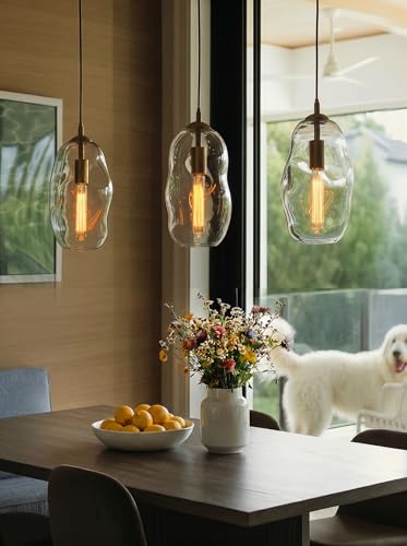 CASAMOTION Modern Pendant Lights Kitchen Island Large Gold Hanging Light Fixtures for Dining Table Blown Art Glass Clear Organic Globe Bedroom Foyer Entryway Hallway Lamp 12 Inch 1 Pack - color: Clear+Glod 12"H-1 Pack