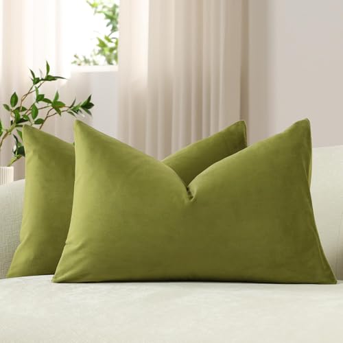 DEZENE Lumbar Pillow Covers 12x20 Chartreuse: Pack of 2 Cozy Soft Velvet Rectangular Modern Luxury Decorative Throw Pillow Cases for Sofa Couch Living Room Bed Home Decor - color: Chartreuse, size: 20" x 12" (Pack of 2)