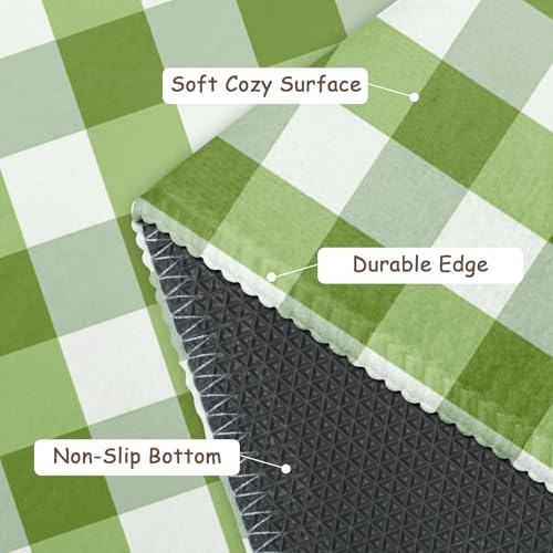 Green and White Buffalo Plaid Area Rug 2x3 Spring Summer Check Farmhouse Front Door Mat Small Non-Slip Low Pile Doormat Washable Indoor Outdoor Entryway Rugs for Living Room Bedroom Home Decor - color: Buffalo Plaid Green and White